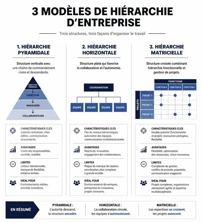 Schéma comparatif des structures hiérarchiques en entreprise : pyramidale, horizontale et matricielle
